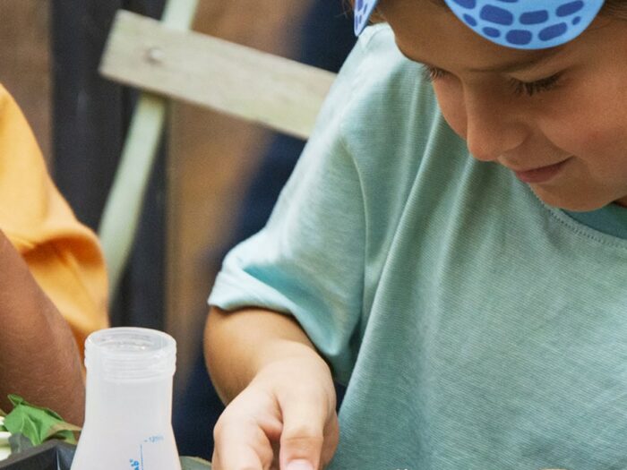 Anniversaire "Le monde des dinosaures"