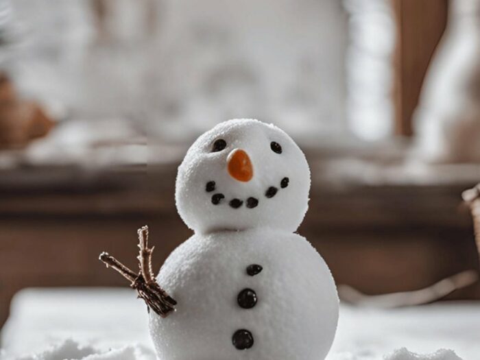 Anniversaire "La Reine des Neiges"