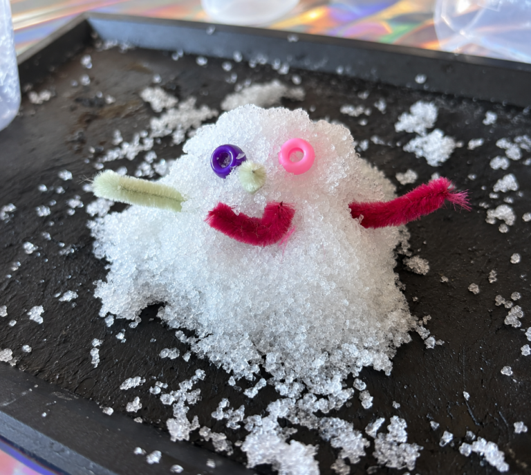 Animation anniversaire Reine des Neiges en France